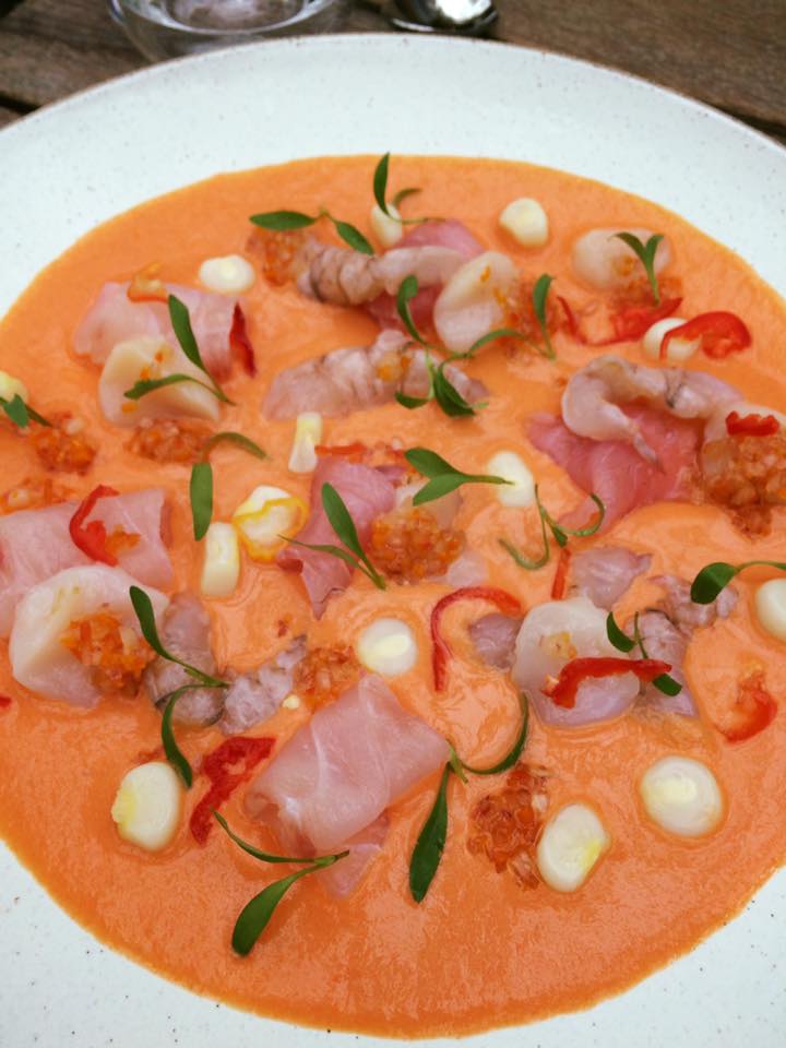 ceviche AYG