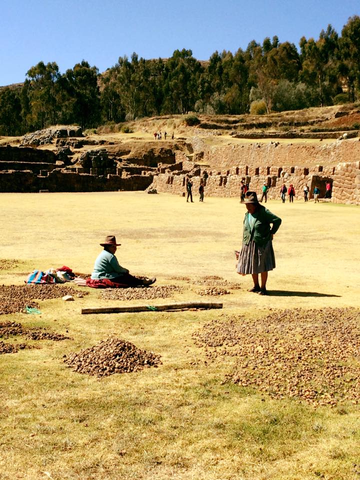 chinchero potaotes 2