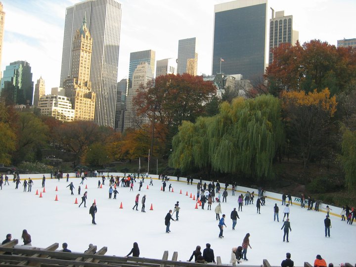 ice skate