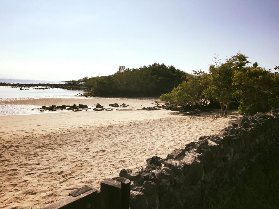 SCFINCHBAYBEACH